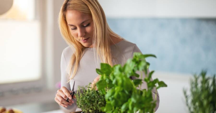 How to Start an Indoor Herb Garden for Beginners