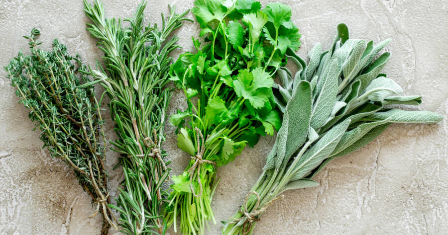 5 Everyday Herbs That Instantly Elevate Home Cooking